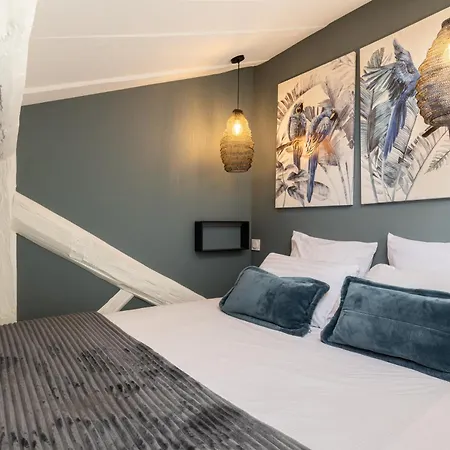 Daire Like Gourguillon Vieux-lyon