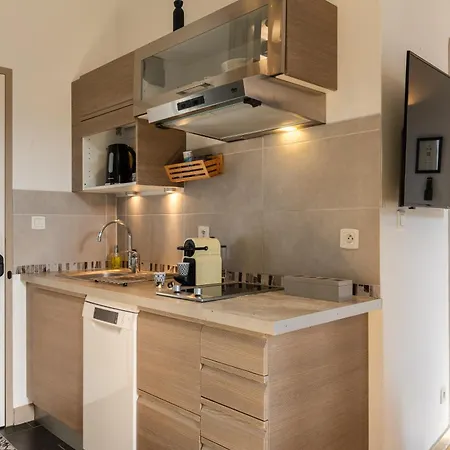 아파트 Like Gourguillon Vieux-lyon